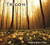 Trigon - Vil lieber grüsse