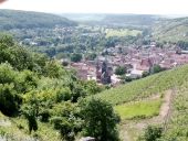 Blick auf Freyburg